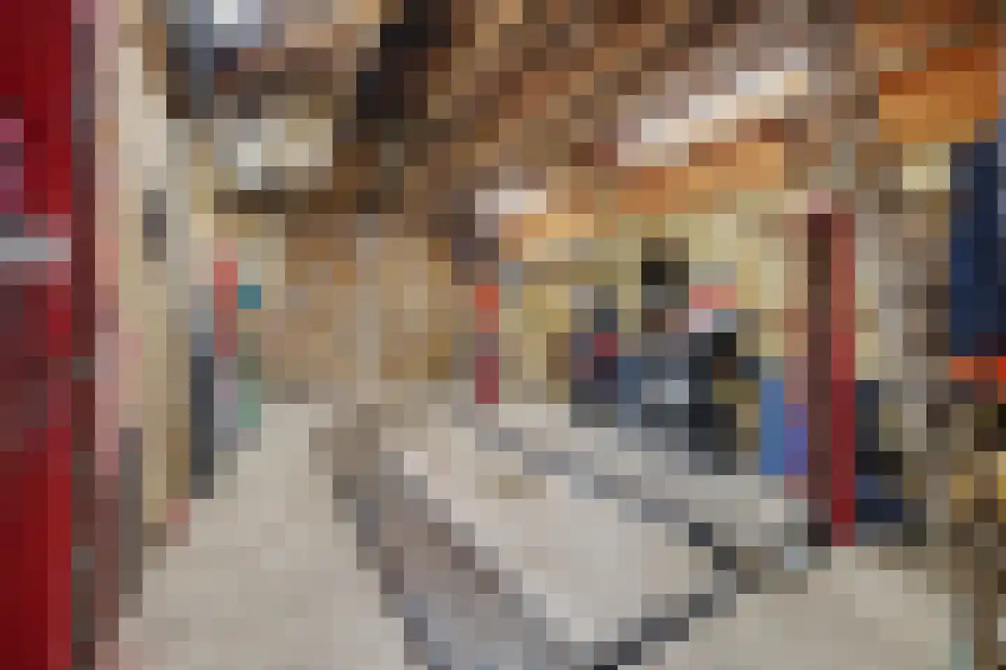 Holthuizerstraat 5 Didam thumbnail 42