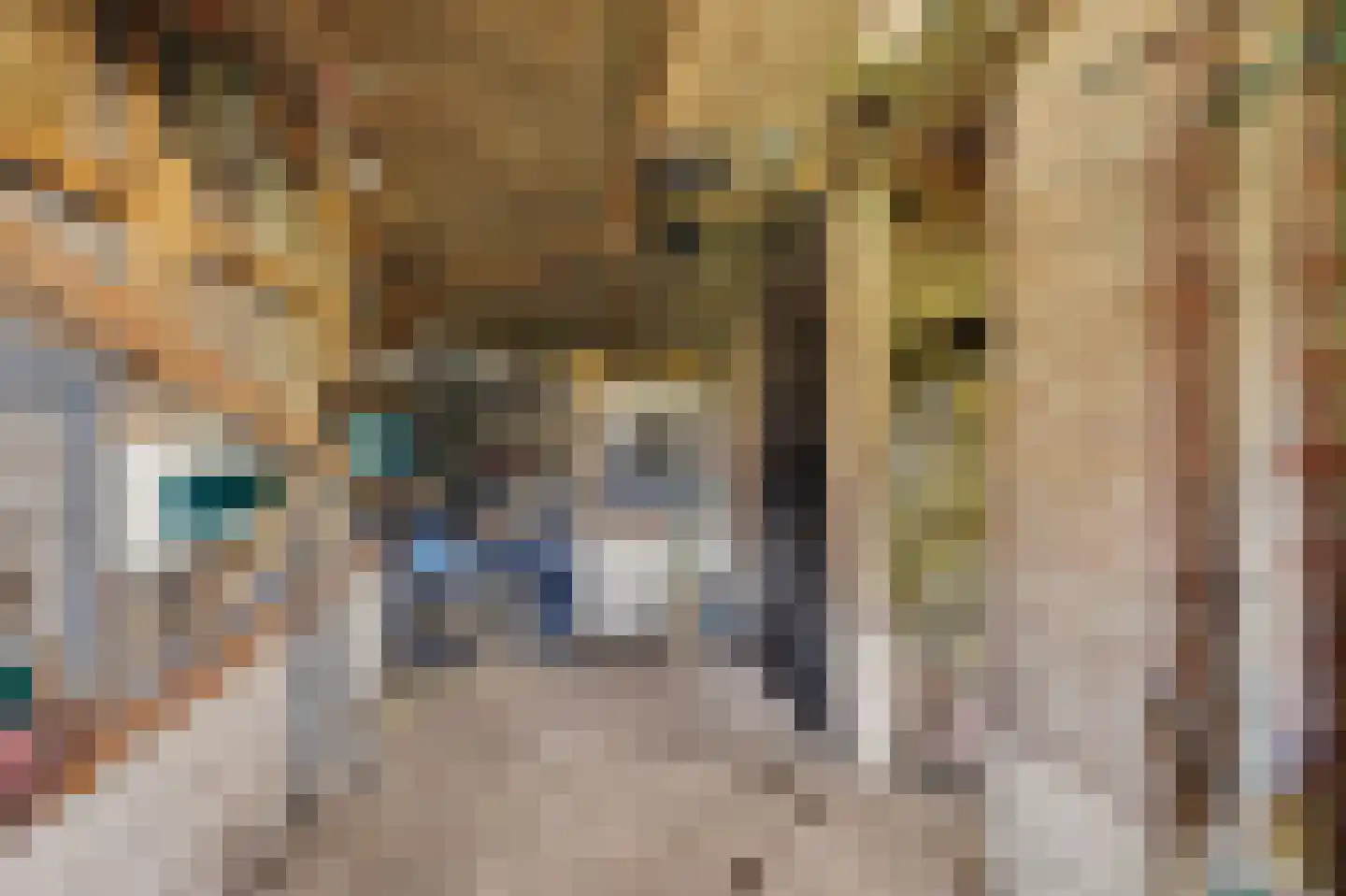 Holthuizerstraat 5 Didam thumbnail 44