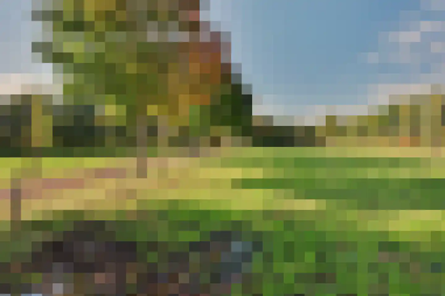 Holthuizerstraat 5 Didam thumbnail 49