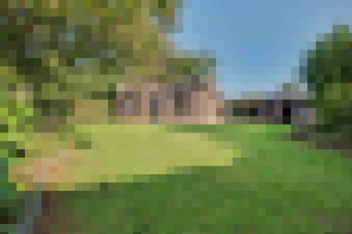 Holthuizerstraat 5 Didam thumbnail 5