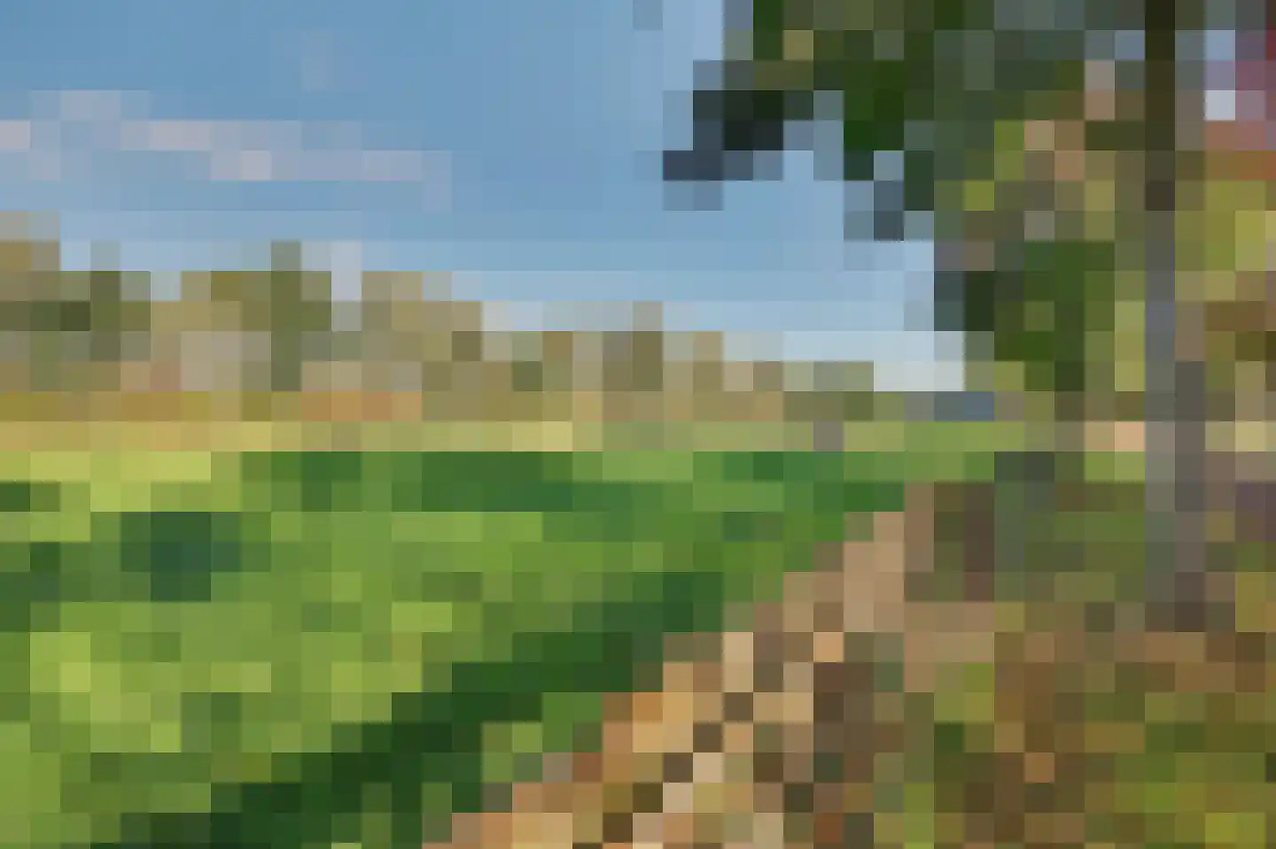 Holthuizerstraat 5 Didam thumbnail 50