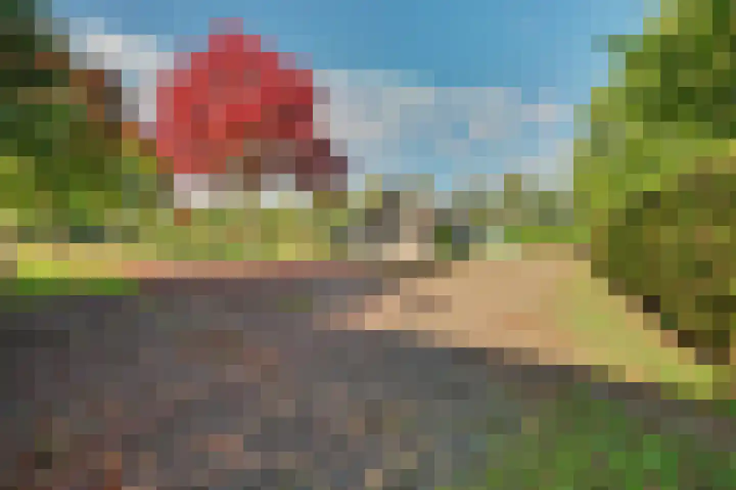 Holthuizerstraat 5 Didam thumbnail 51