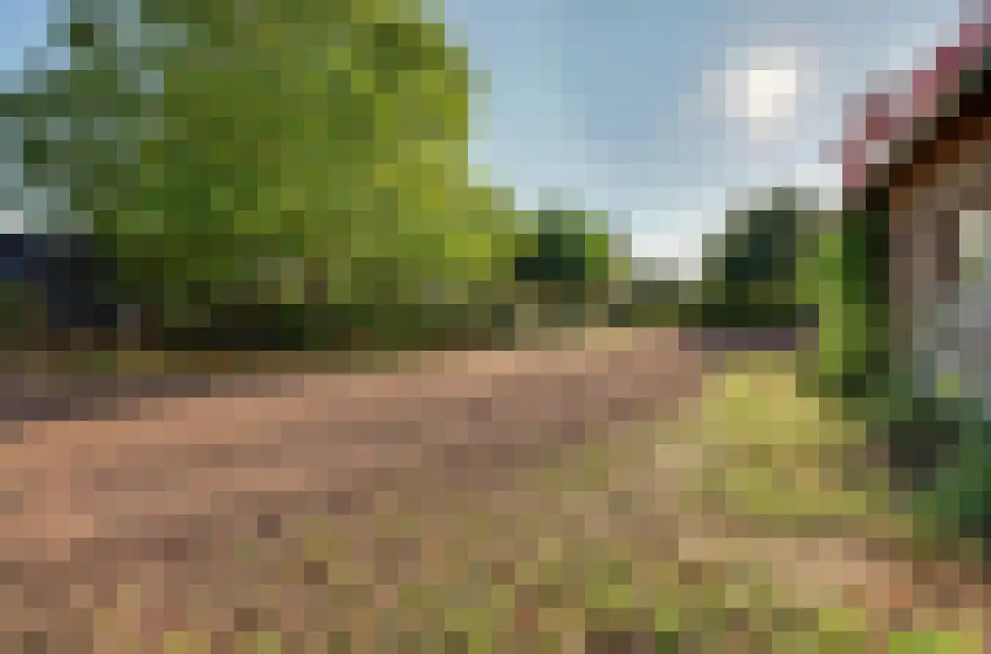 Holthuizerstraat 5 Didam thumbnail 55