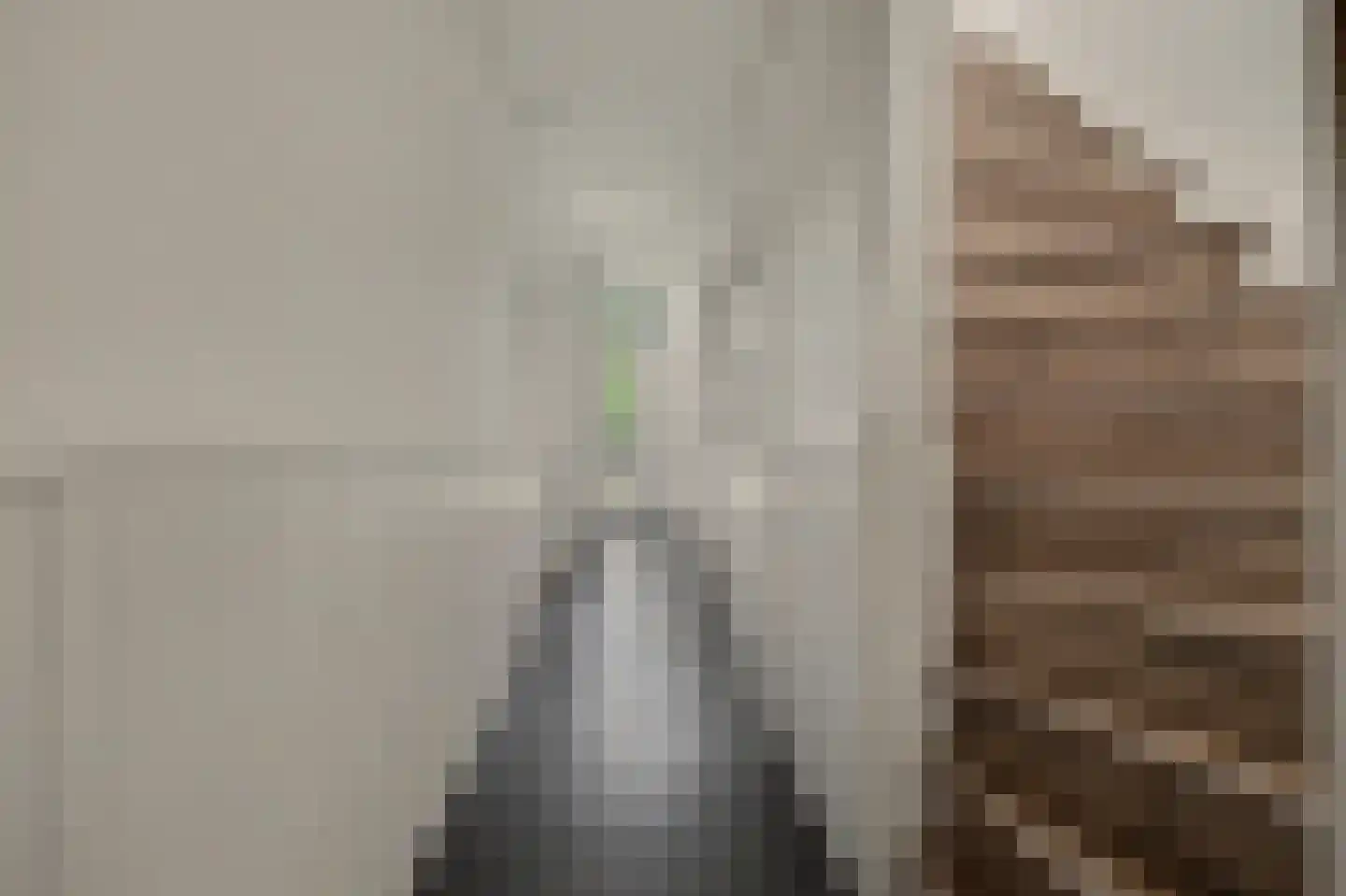 Holthuizerstraat 5 Didam thumbnail 6
