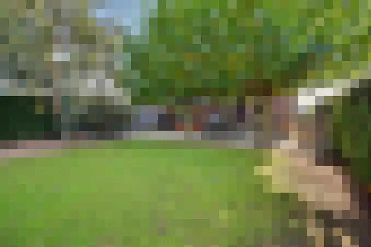 Holthuizerstraat 5 Didam thumbnail 60