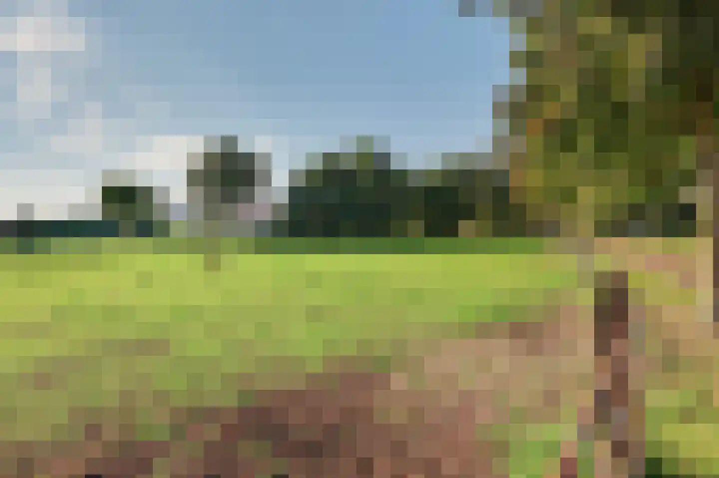 Holthuizerstraat 5 Didam thumbnail 62