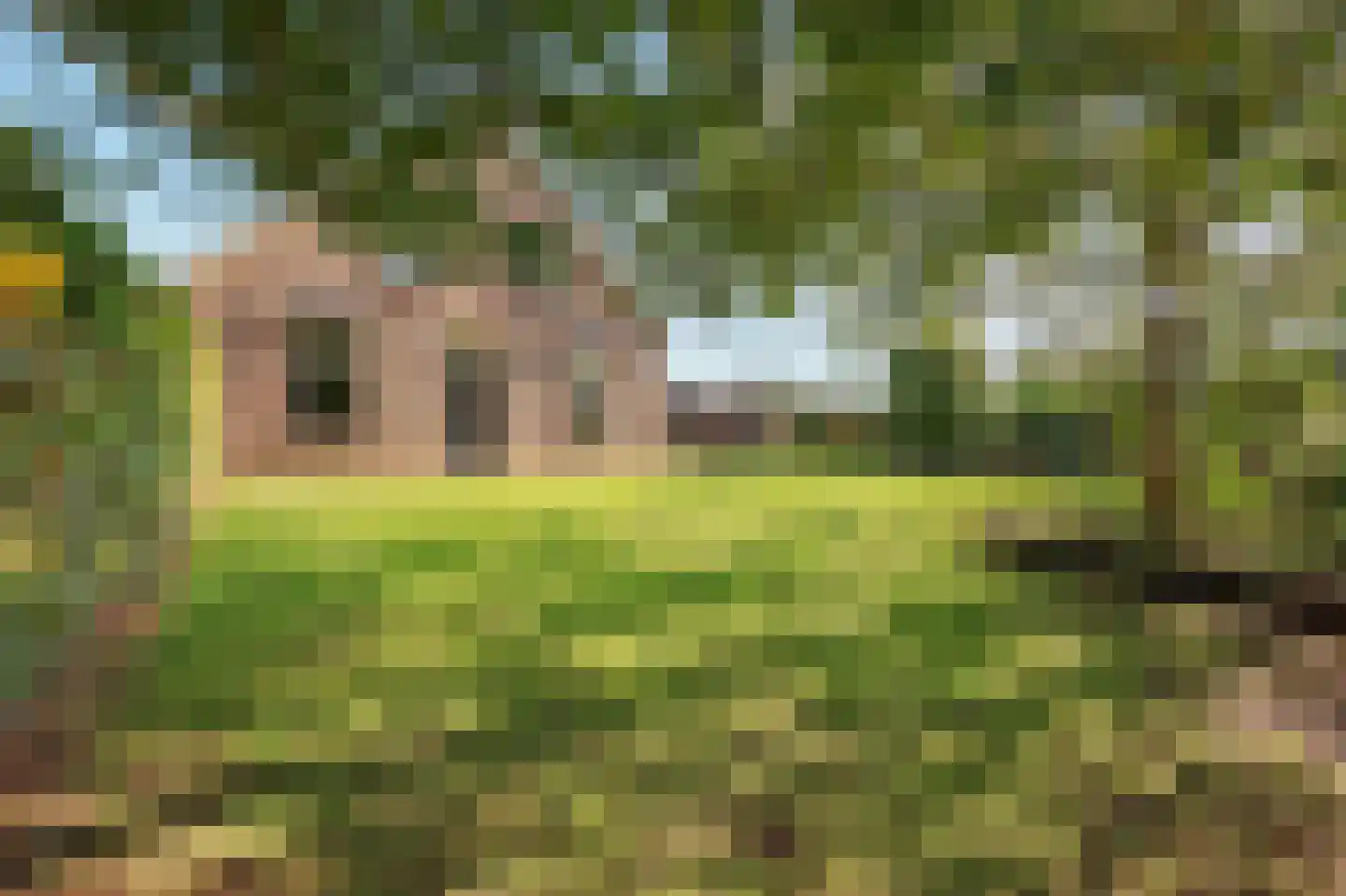 Holthuizerstraat 5 Didam thumbnail 63