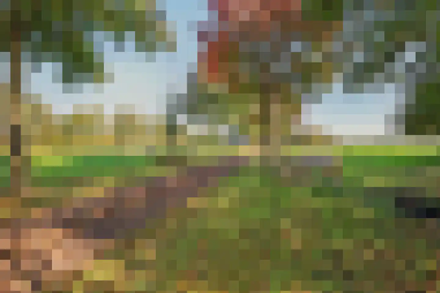 Holthuizerstraat 5 Didam thumbnail 65