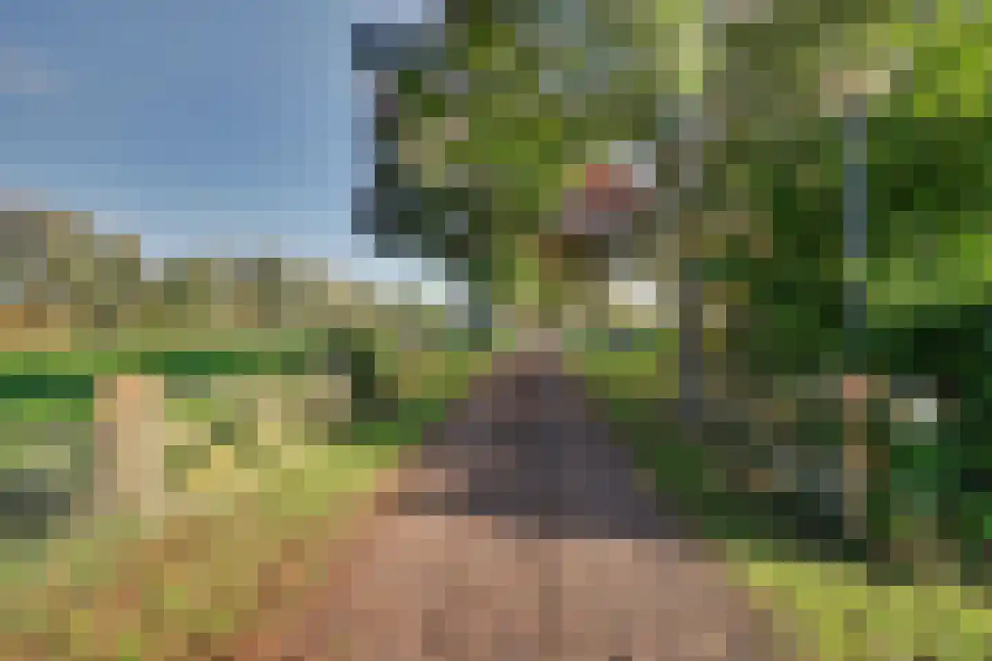 Holthuizerstraat 5 Didam thumbnail 66