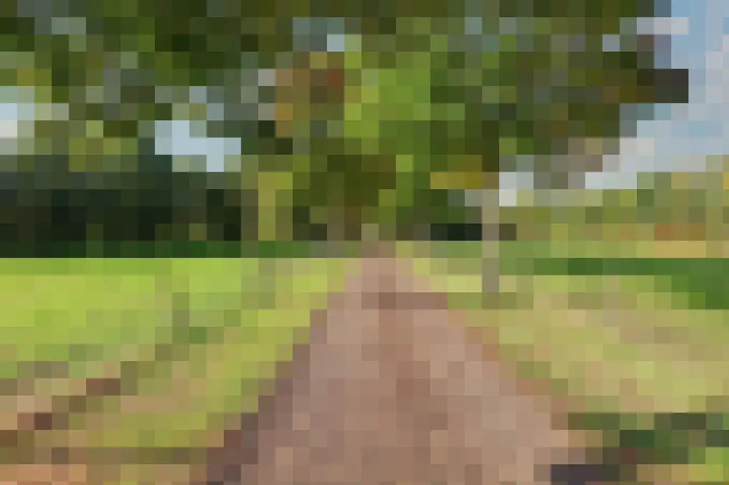 Holthuizerstraat 5 Didam thumbnail 67