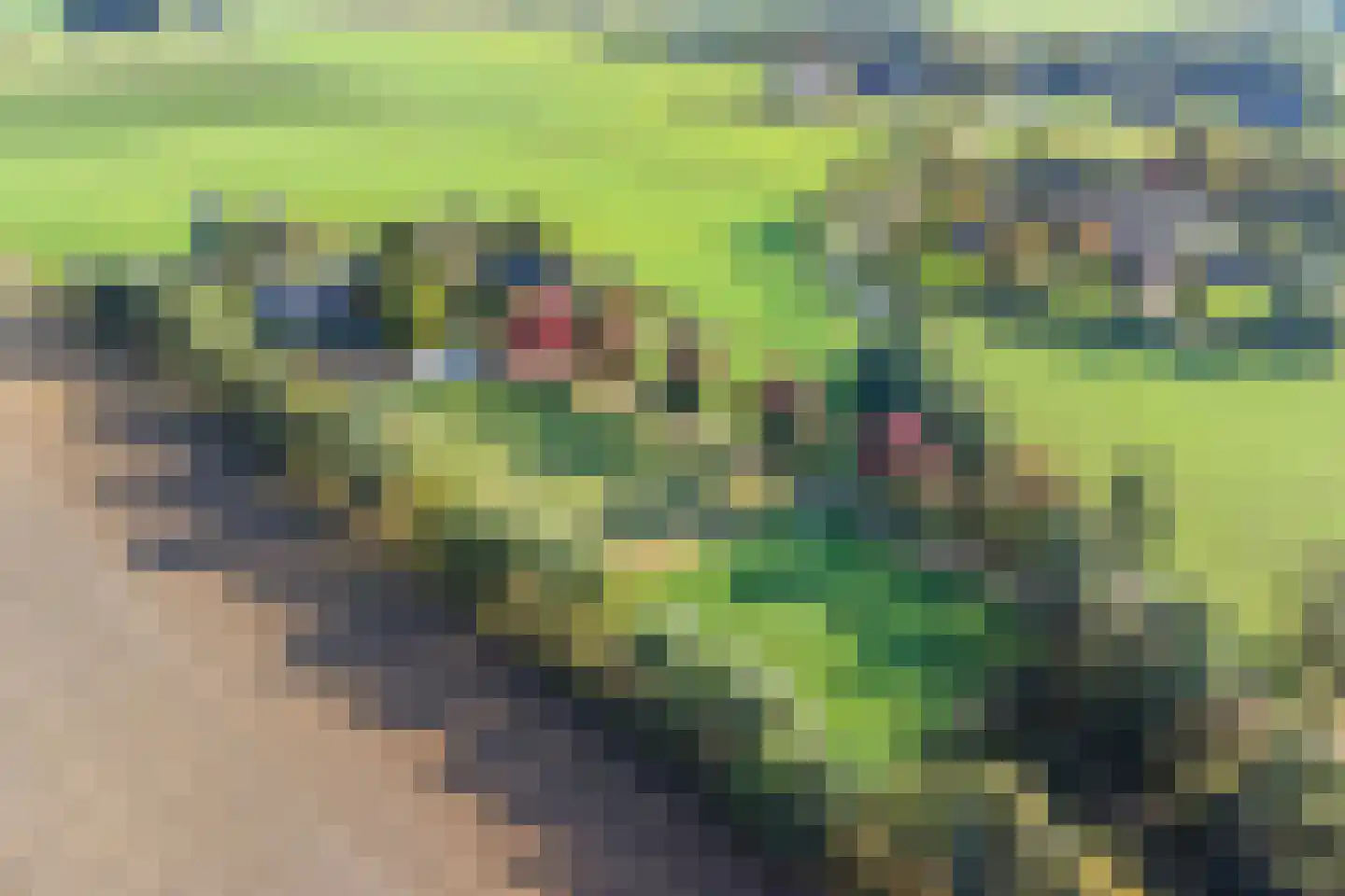 Holthuizerstraat 5 Didam thumbnail 69