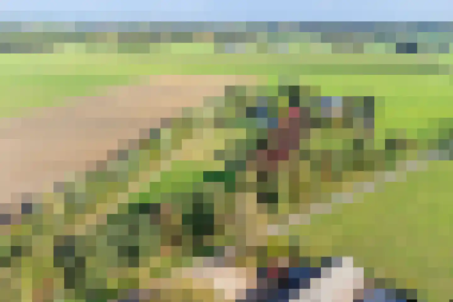 Holthuizerstraat 5 Didam thumbnail 71