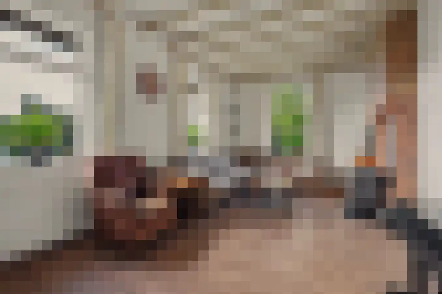 Holthuizerstraat 5 Didam thumbnail 8