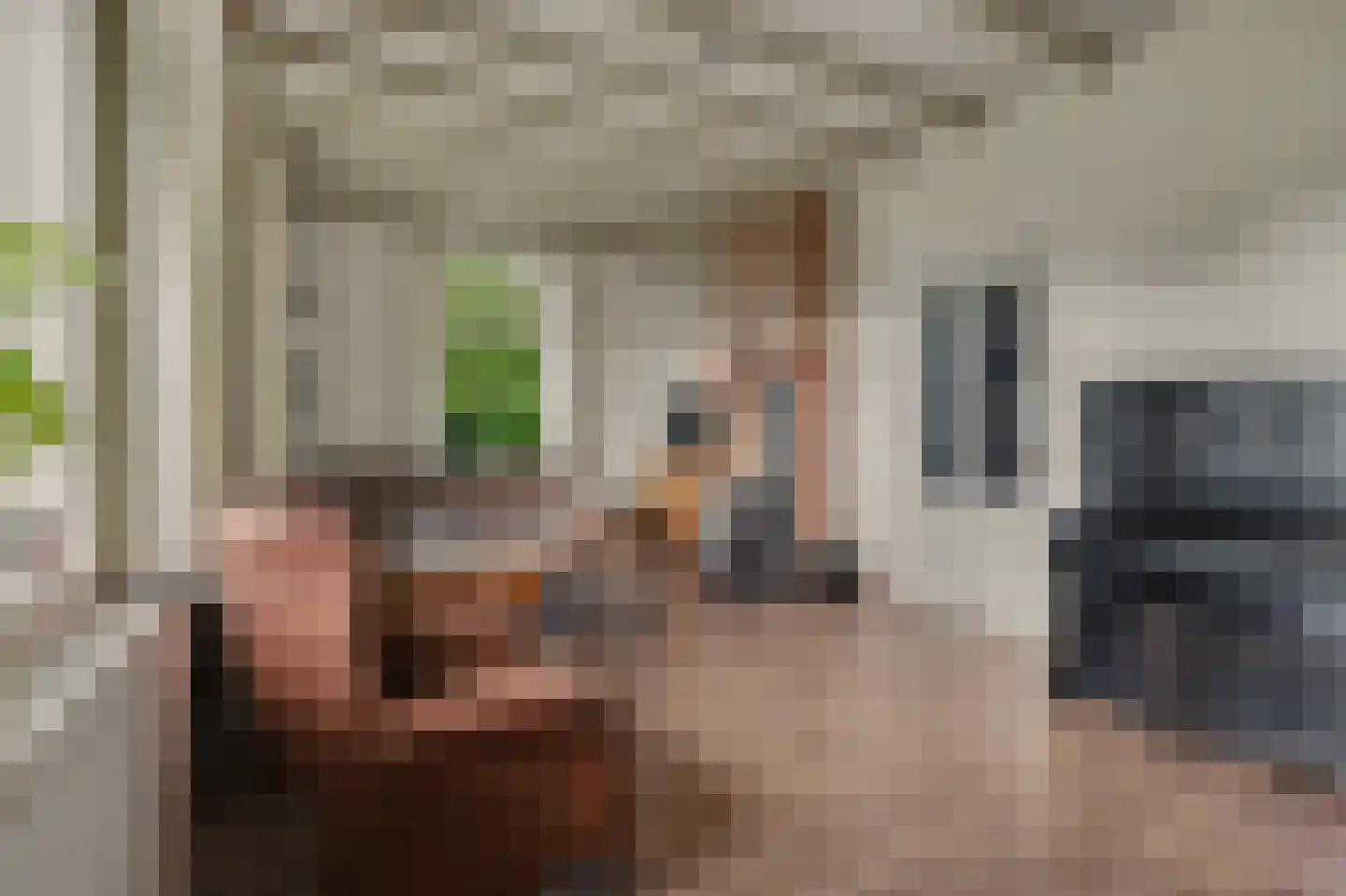 Holthuizerstraat 5 Didam thumbnail 9