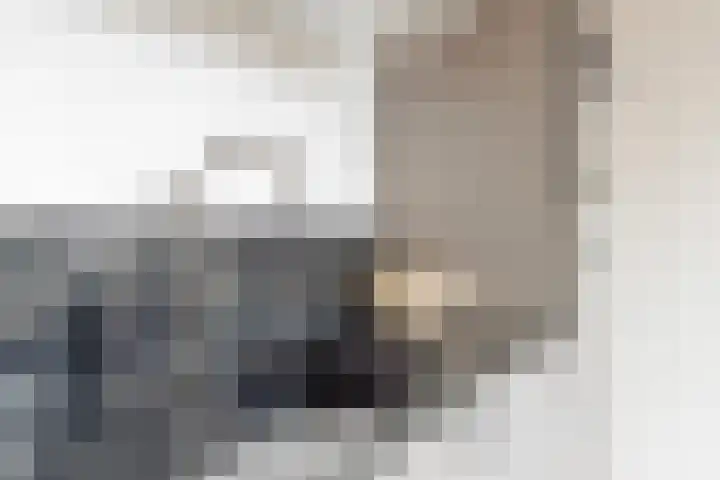 Holthusenstraat 3 Zutphen thumbnail 15