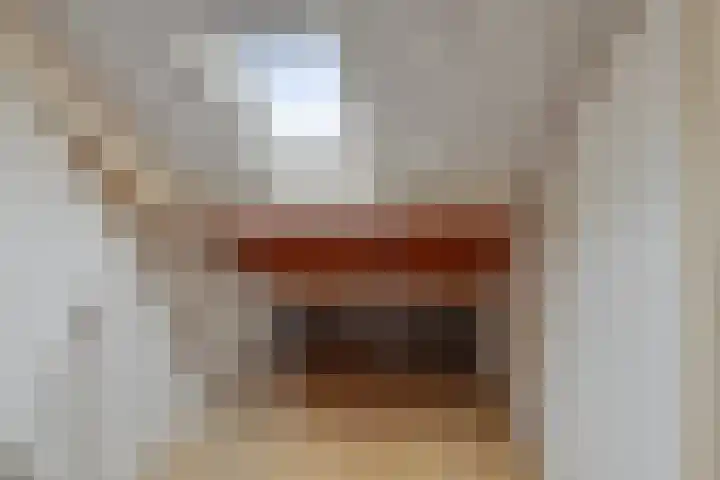 Holthusenstraat 3 Zutphen thumbnail 32