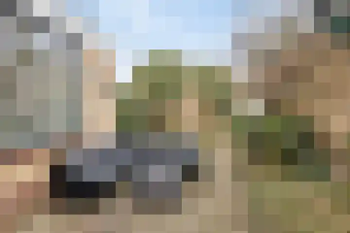 Holthusenstraat 3 Zutphen thumbnail 36