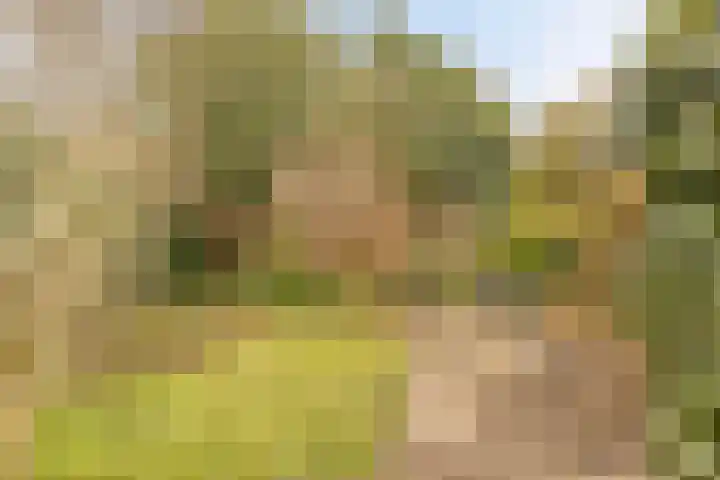 Holthusenstraat 3 Zutphen thumbnail 37