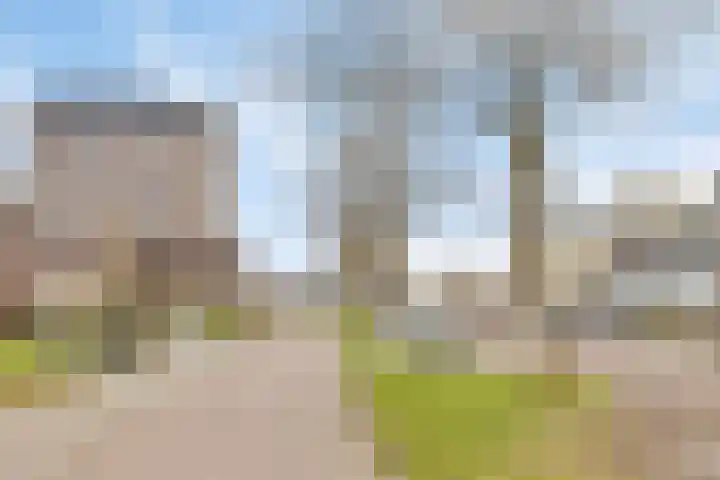 Holthusenstraat 3 Zutphen thumbnail 41
