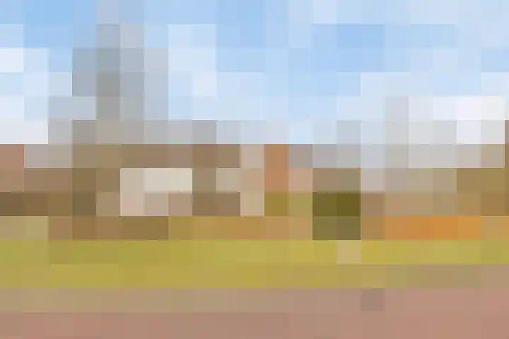 Holthusenstraat 3 Zutphen thumbnail 43