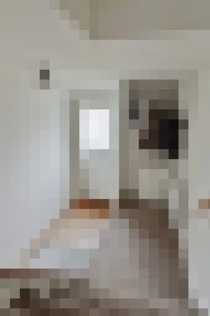 Holthusenstraat 3 Zutphen thumbnail 5