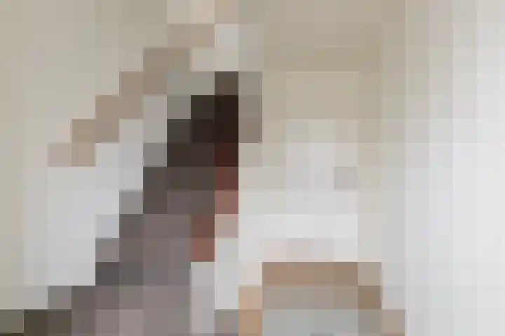 Holthusenstraat 3 Zutphen thumbnail 6