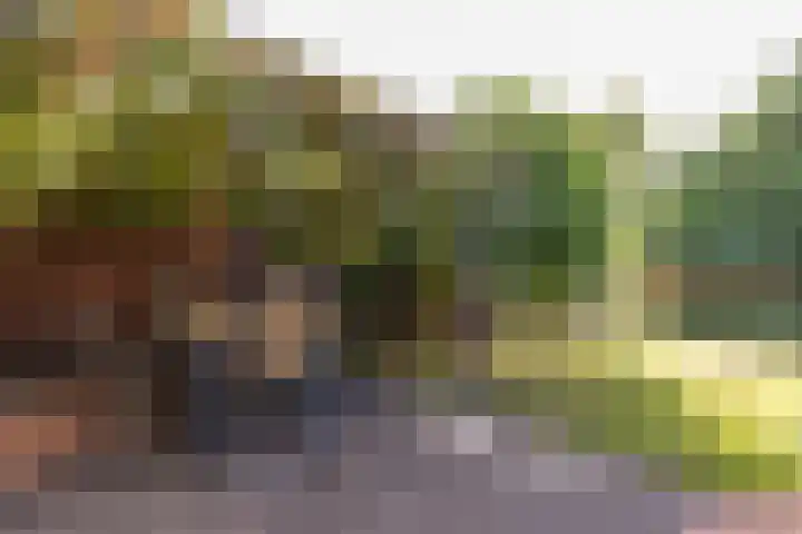 Holthuysenweg 14 Echt thumbnail 22