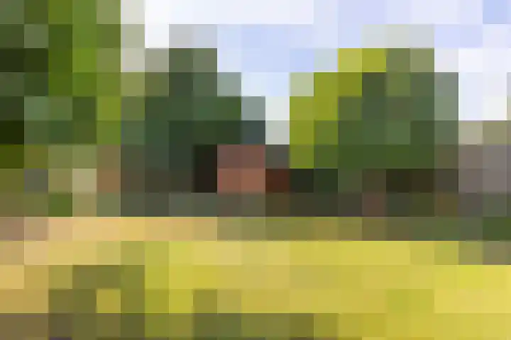 Holthuysenweg 14 Echt thumbnail 23