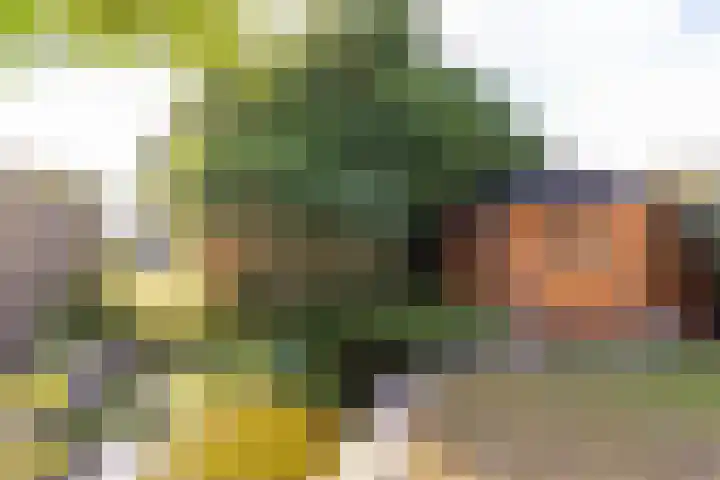Holthuysenweg 14 Echt thumbnail 24