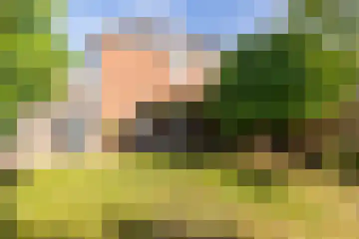 Holthuysenweg 14 Echt thumbnail 25