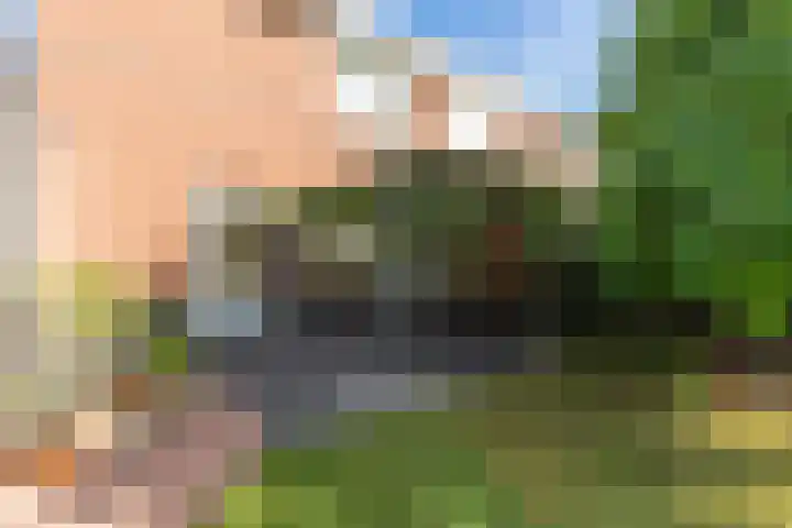 Holthuysenweg 14 Echt thumbnail 27