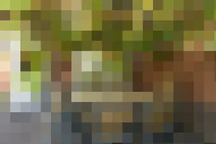 Holthuysenweg 14 Echt thumbnail 28