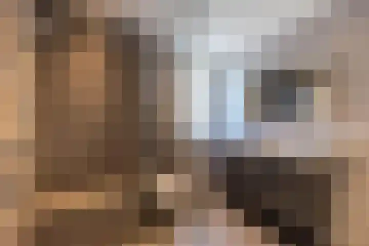 Holthuysenweg 14 Echt thumbnail 40