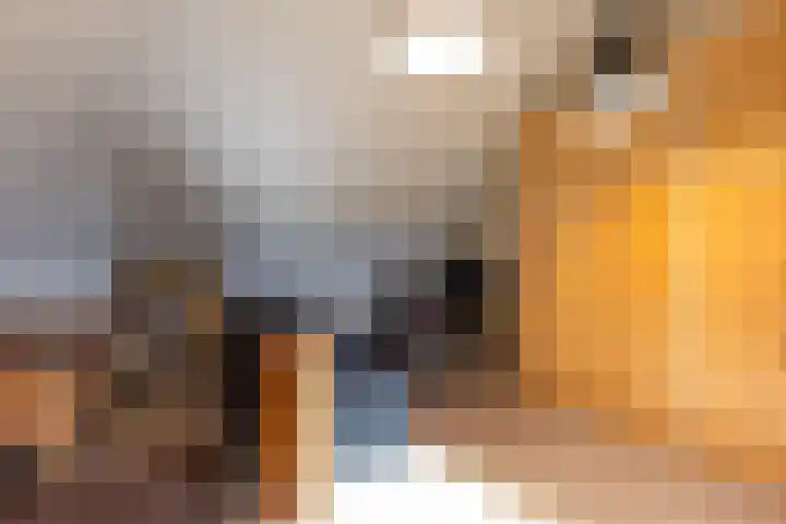 Holthuysenweg 14 Echt thumbnail 41