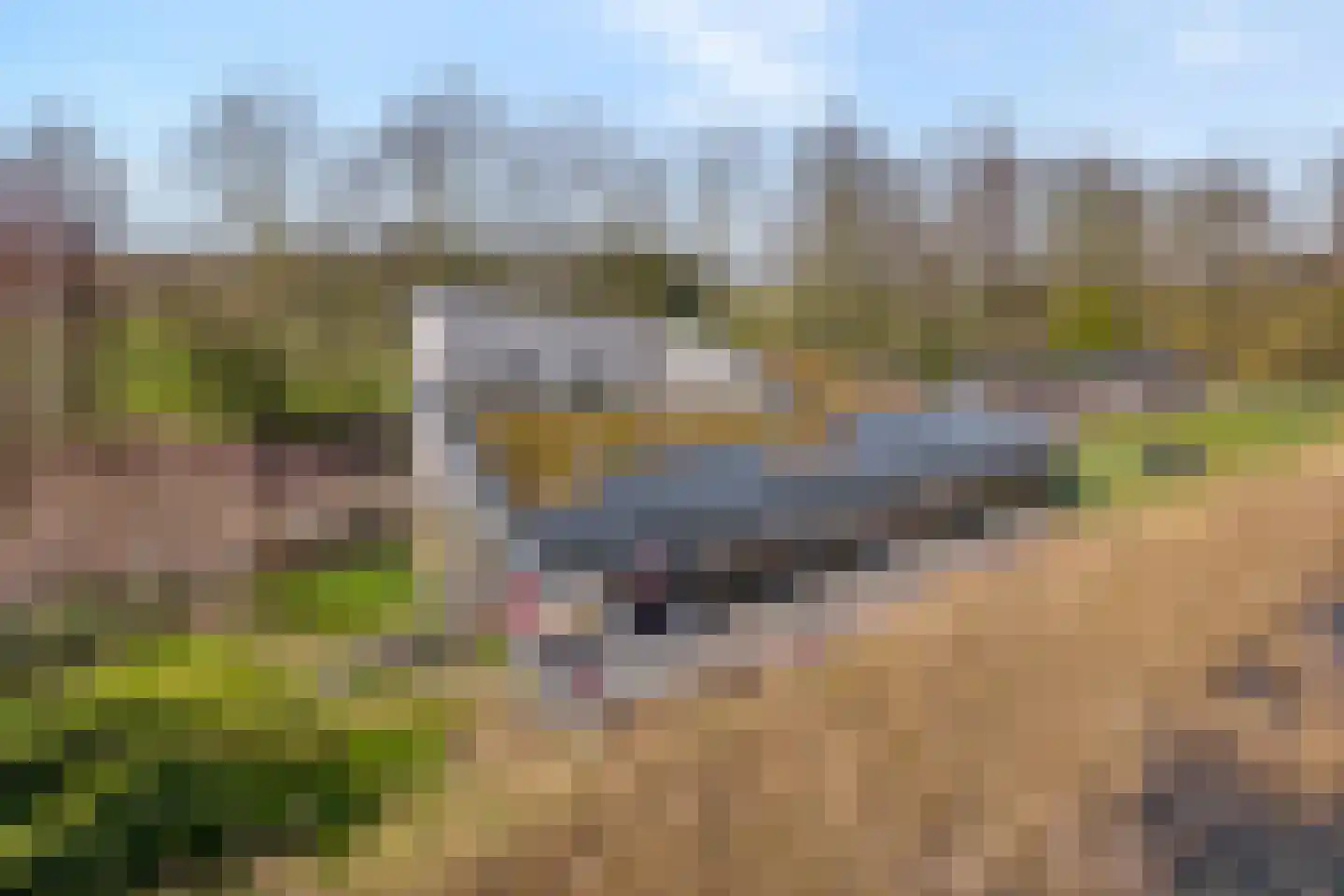 Holtien 11 Dwingeloo thumbnail 10