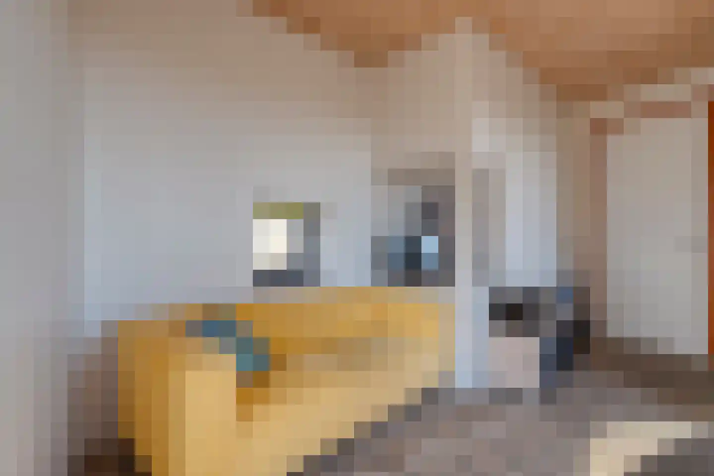Holtien 11 Dwingeloo thumbnail 100