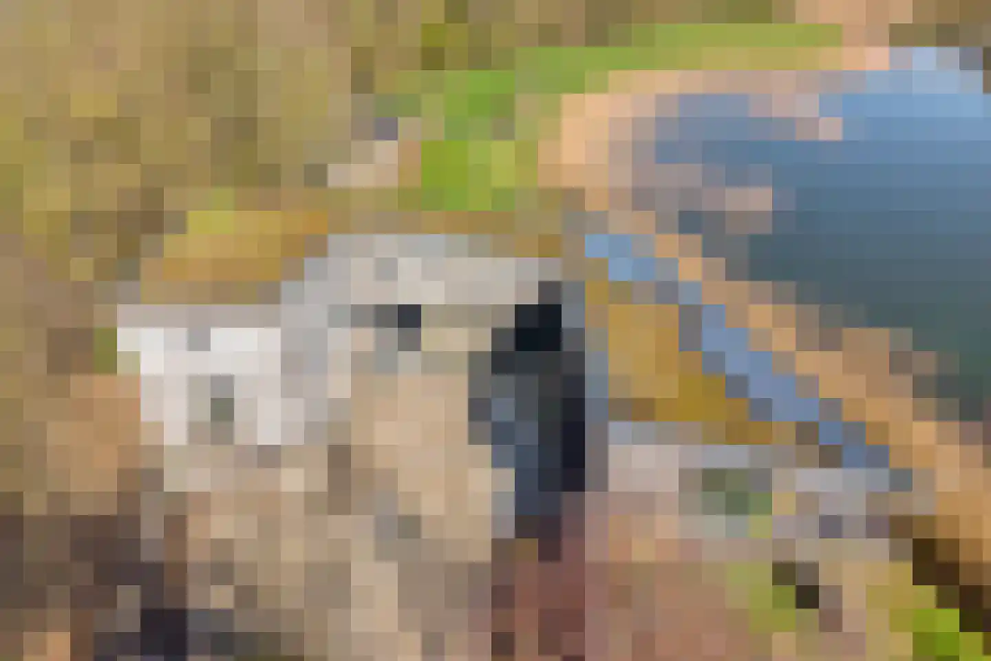 Holtien 11 Dwingeloo thumbnail 11