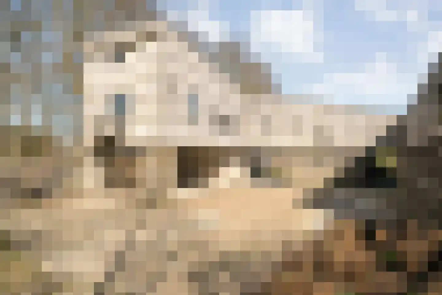 Holtien 11 Dwingeloo thumbnail 15