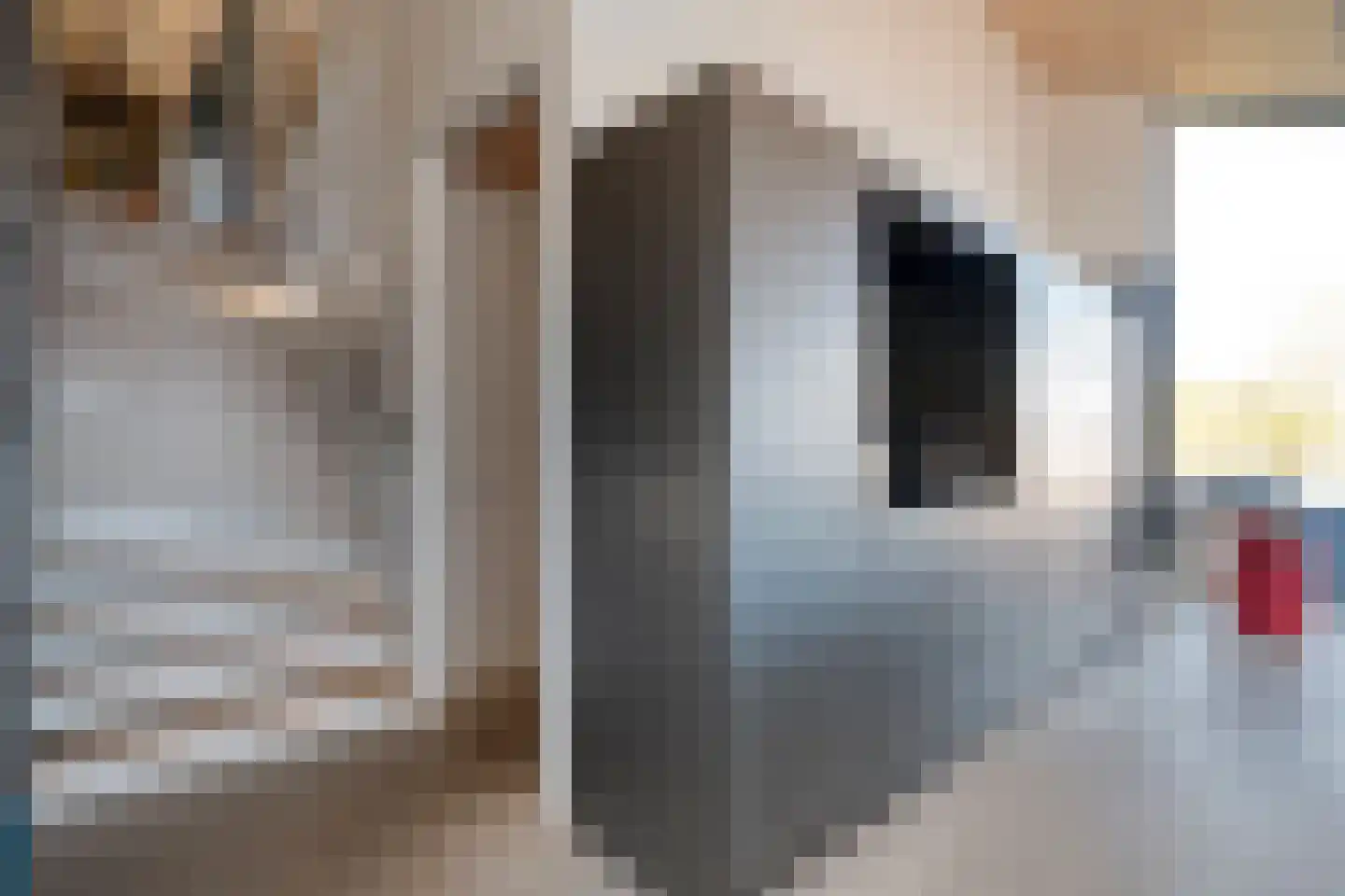 Holtien 11 Dwingeloo thumbnail 22