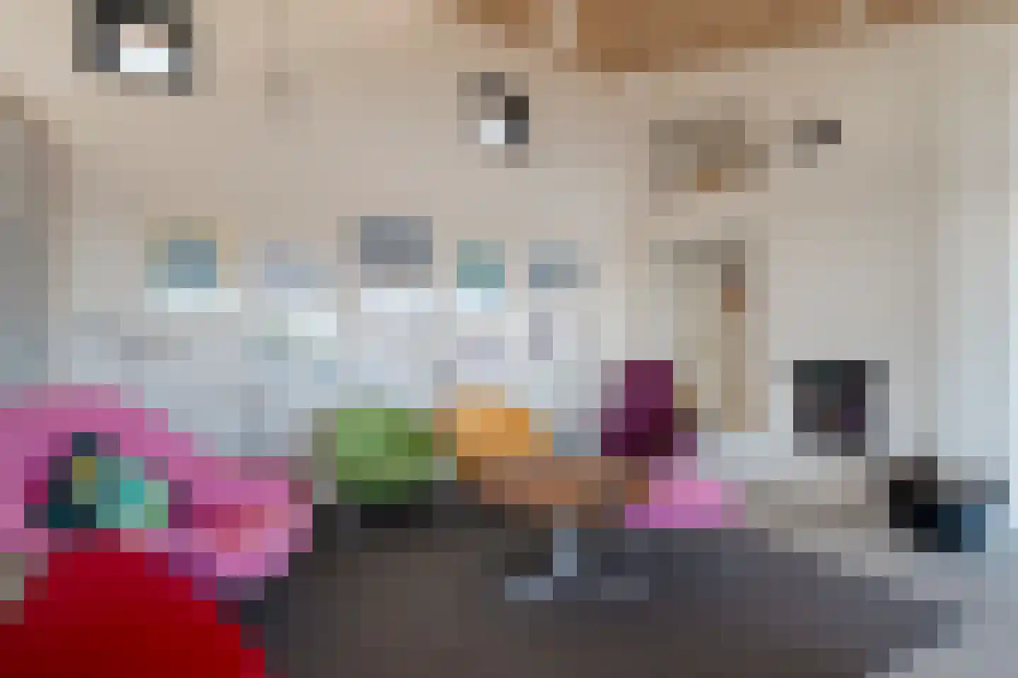 Holtien 11 Dwingeloo thumbnail 24