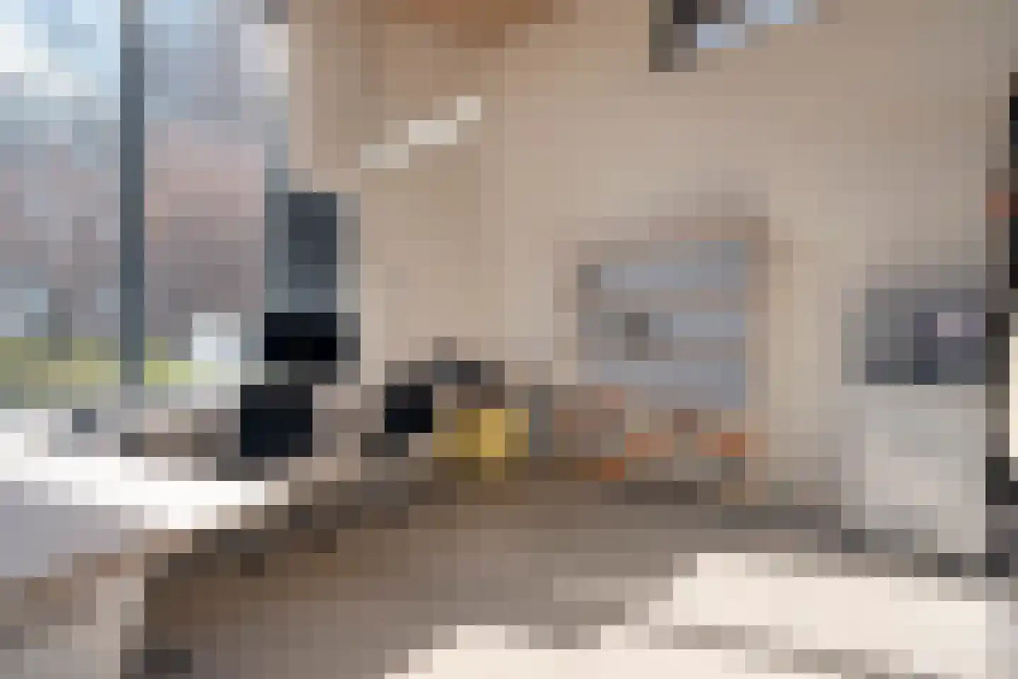 Holtien 11 Dwingeloo thumbnail 26