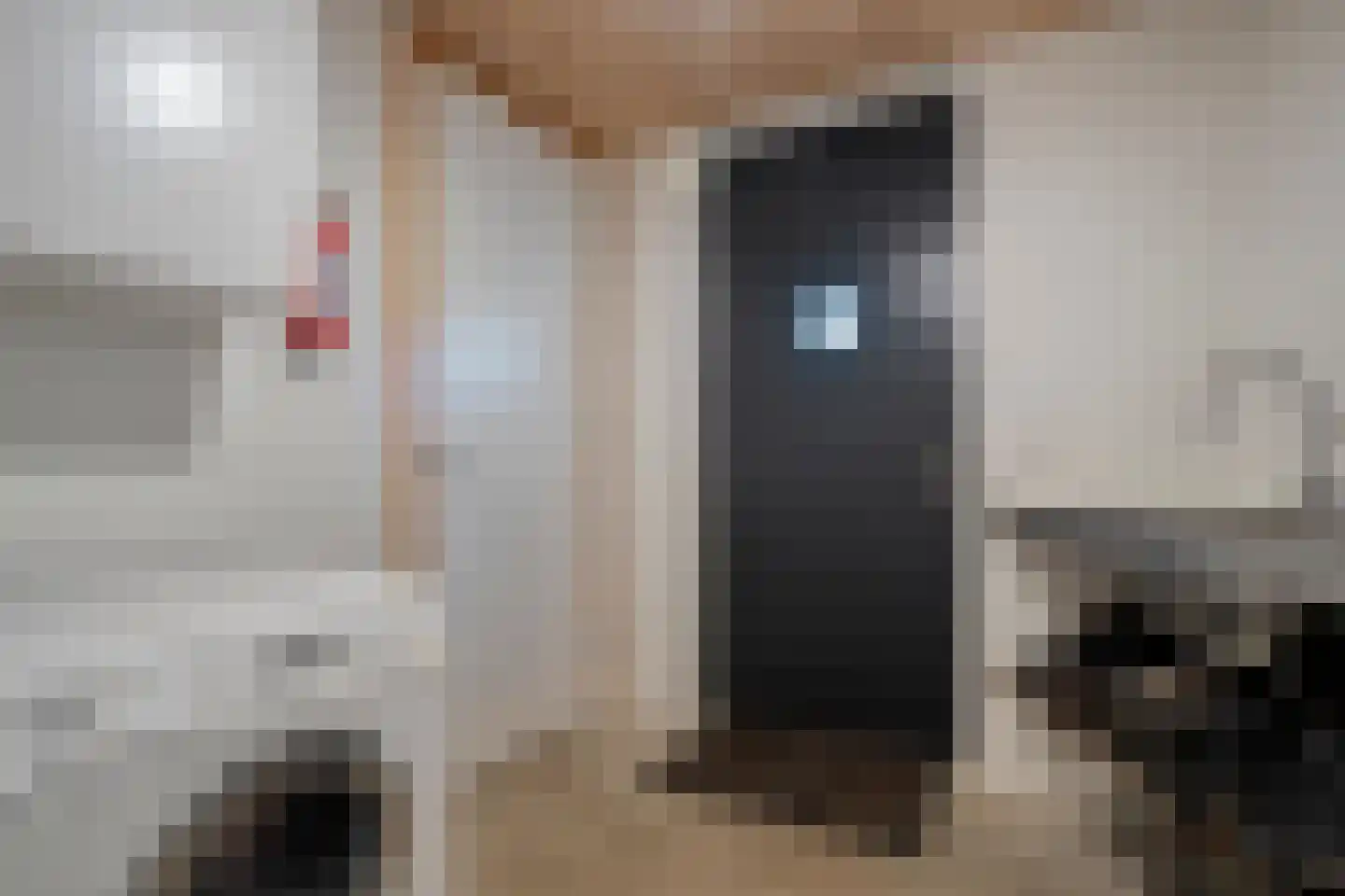 Holtien 11 Dwingeloo thumbnail 31