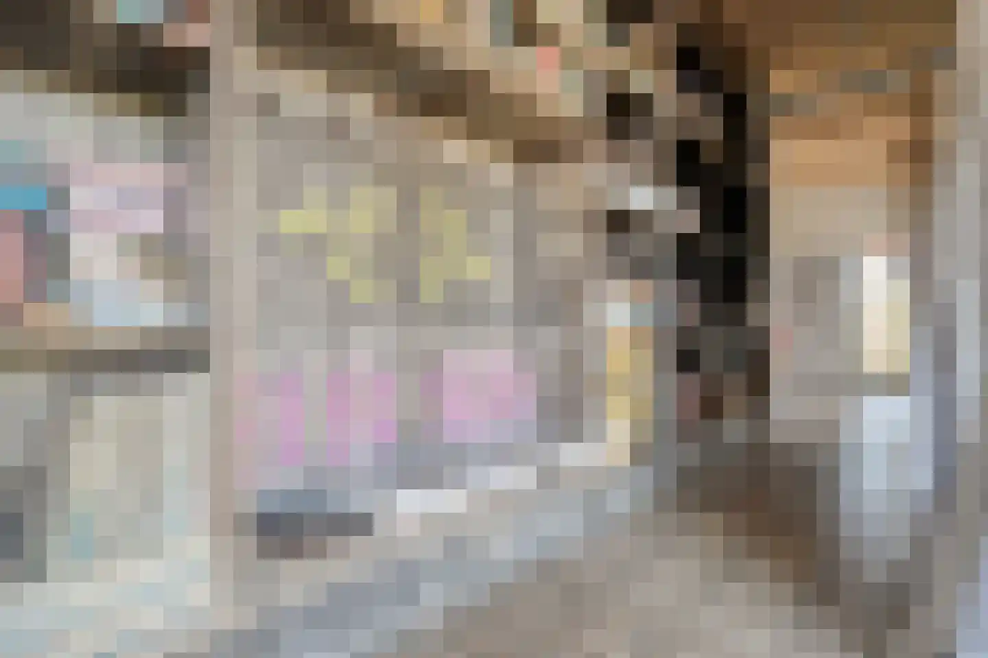 Holtien 11 Dwingeloo thumbnail 33