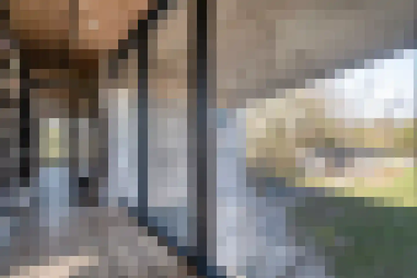 Holtien 11 Dwingeloo thumbnail 37