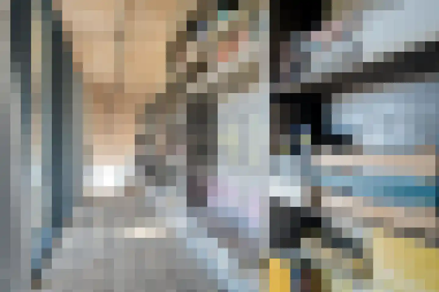 Holtien 11 Dwingeloo thumbnail 38
