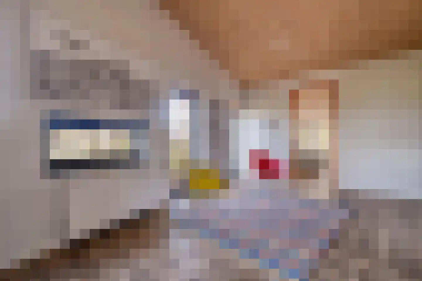 Holtien 11 Dwingeloo thumbnail 40