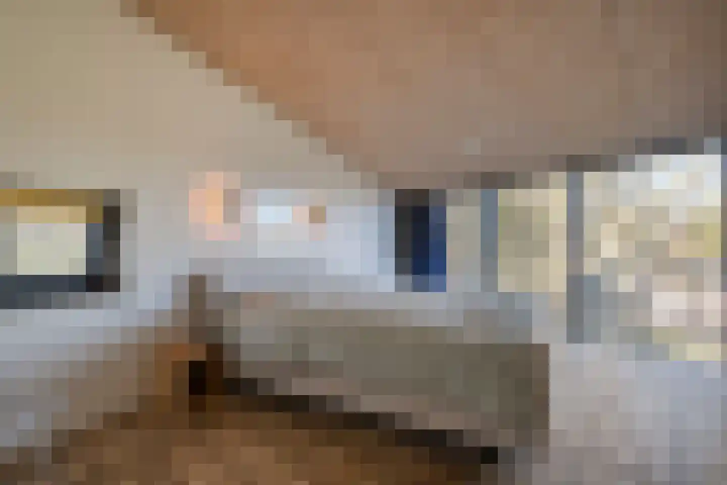 Holtien 11 Dwingeloo thumbnail 41