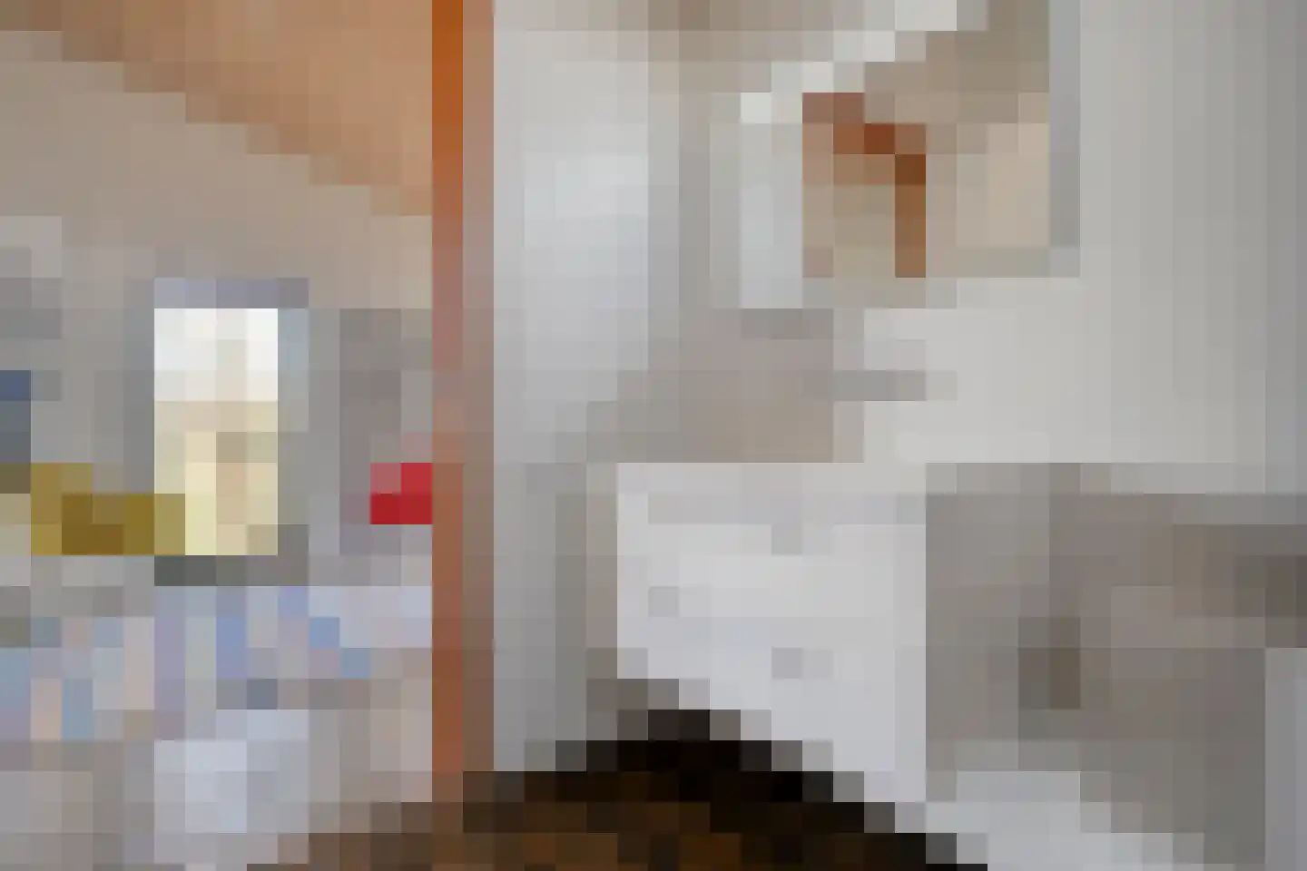 Holtien 11 Dwingeloo thumbnail 45