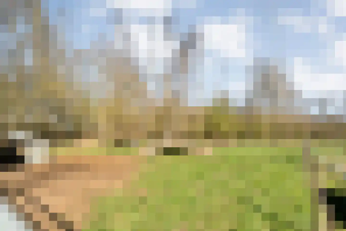 Holtien 11 Dwingeloo thumbnail 58