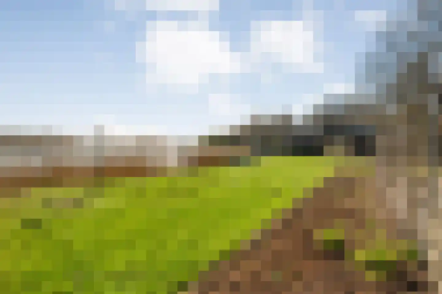 Holtien 11 Dwingeloo thumbnail 59